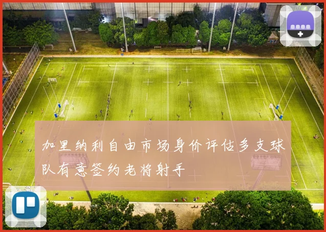 加里纳利自由市场身价评估多支球队有意签约老将射手