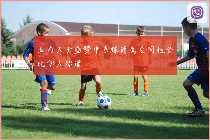 业内人士盛赞申京球商高合同性价比令人称道