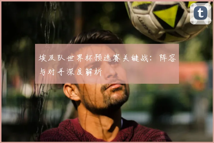 埃及队世界杯预选赛关键战:阵容与对手深度解析