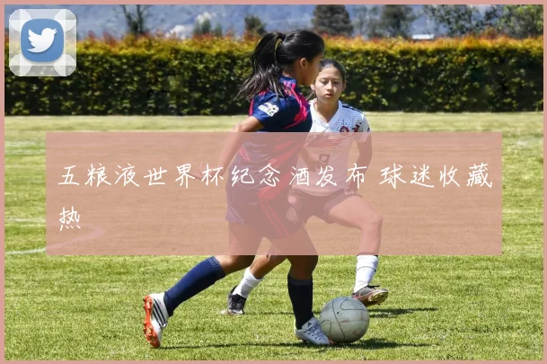 五粮液世界杯纪念酒发布 球迷收藏热