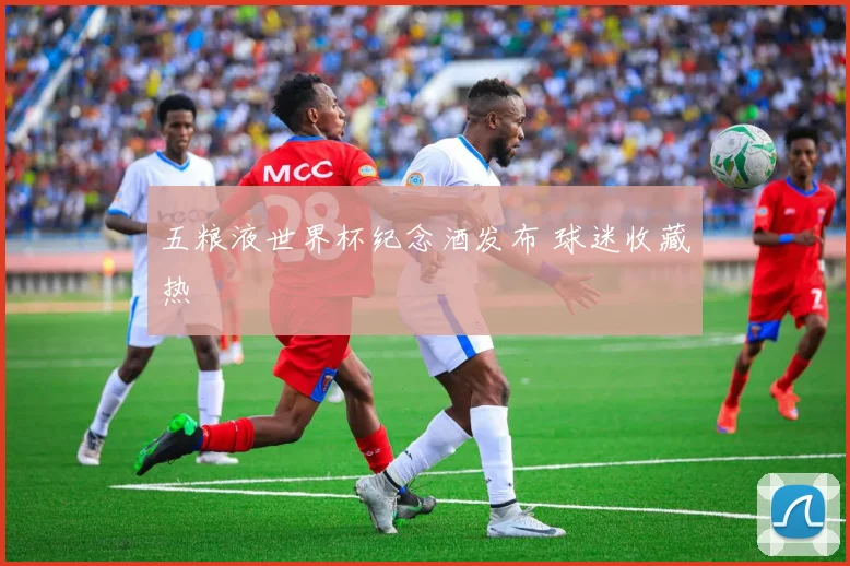 五粮液世界杯纪念酒发布 球迷收藏热