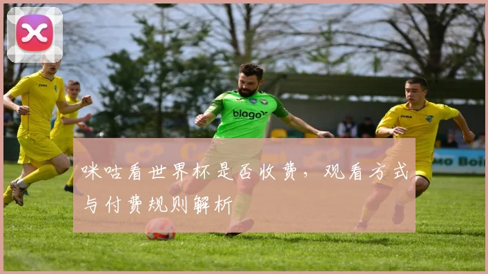 咪咕看世界杯是否收费，观看方式与付费规则解析