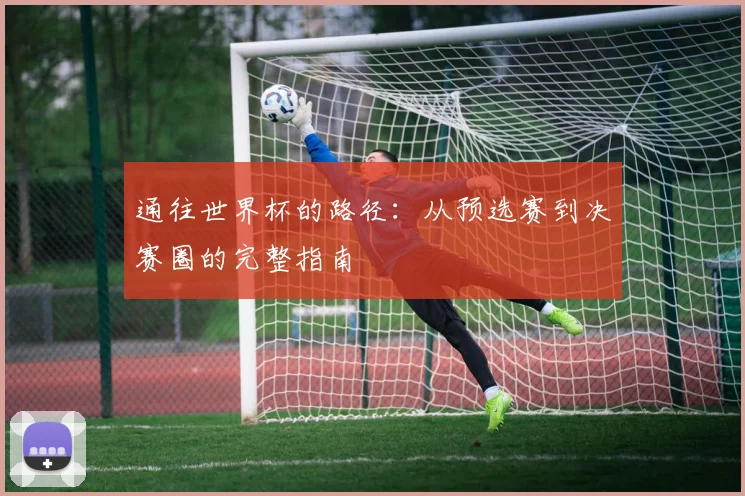通往世界杯的路径：从预选赛到决赛圈的完整指南