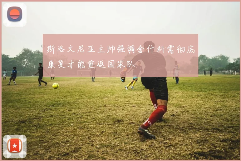 斯洛文尼亚主帅强调舍什科需彻底康复才能重返国家队
