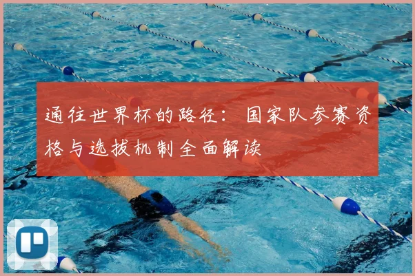 通往世界杯的路径:国家队参赛资格与选拔机制全面解读