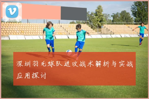 深圳羽毛球队进攻战术解析与实战应用探讨