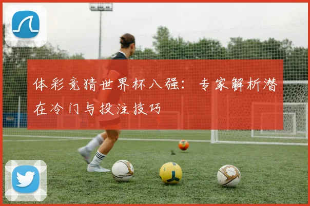 体彩竞猜世界杯八强：专家解析潜在冷门与投注技巧