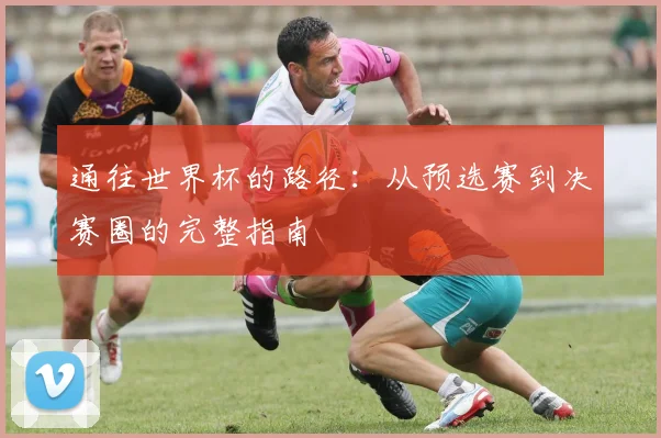 通往世界杯的路径:从预选赛到决赛圈的完整指南
