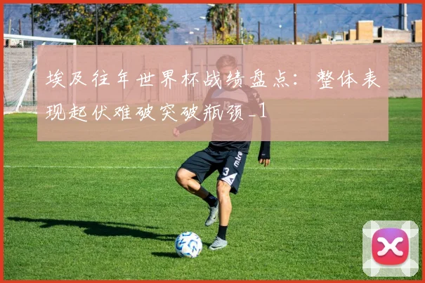 埃及往年世界杯战绩盘点:整体表现起伏难破突破瓶颈_1