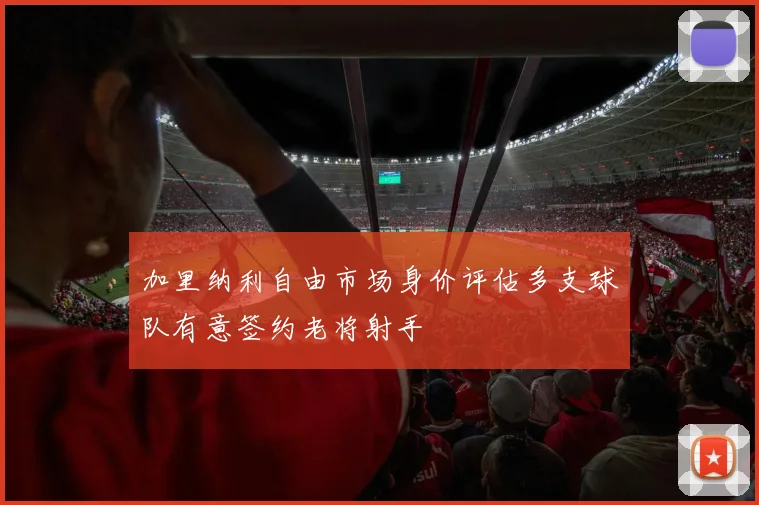 加里纳利自由市场身价评估多支球队有意签约老将射手