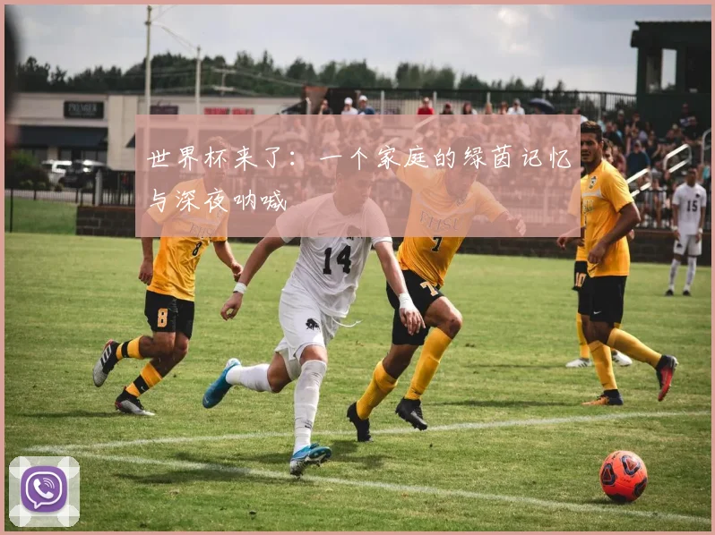 世界杯来了：一个家庭的绿茵记忆与深夜呐喊