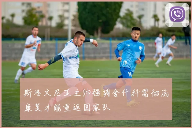 斯洛文尼亚主帅强调舍什科需彻底康复才能重返国家队