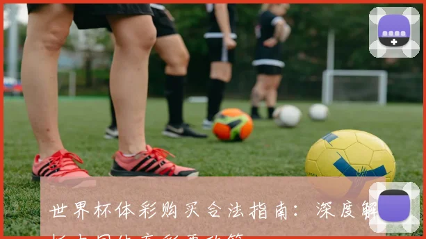 世界杯体彩购买合法指南：深度解析中国体育彩票政策