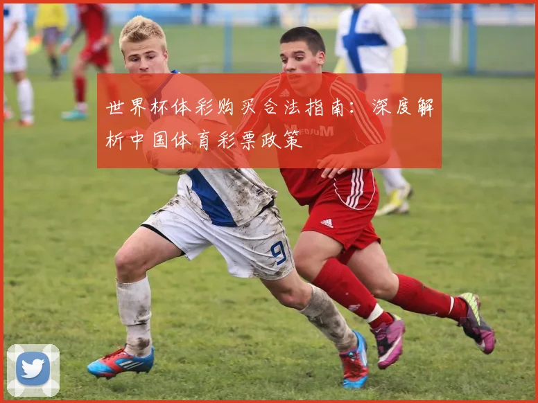 世界杯体彩购买合法指南：深度解析中国体育彩票政策